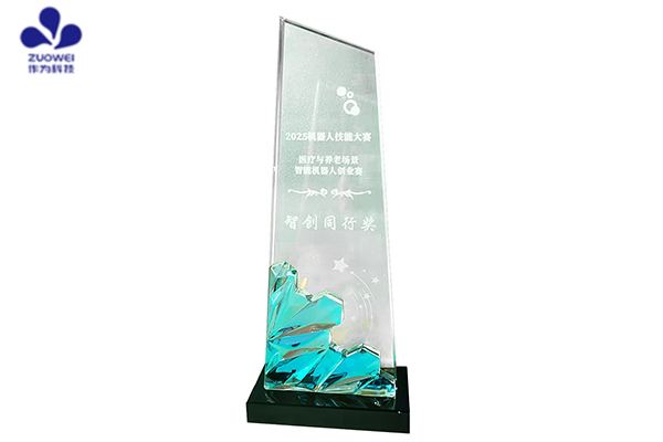 喜讯丨作为科技荣获2025机器人技能大赛大奖